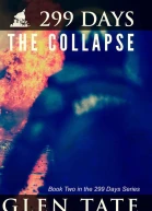 299 Days The Collapse