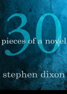 30 Pieces of a Novel