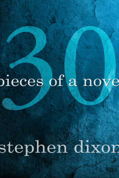 30 Pieces of a Novel