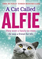 A Cat Called Alfie