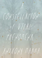 A Constellation of Vital Phenomena