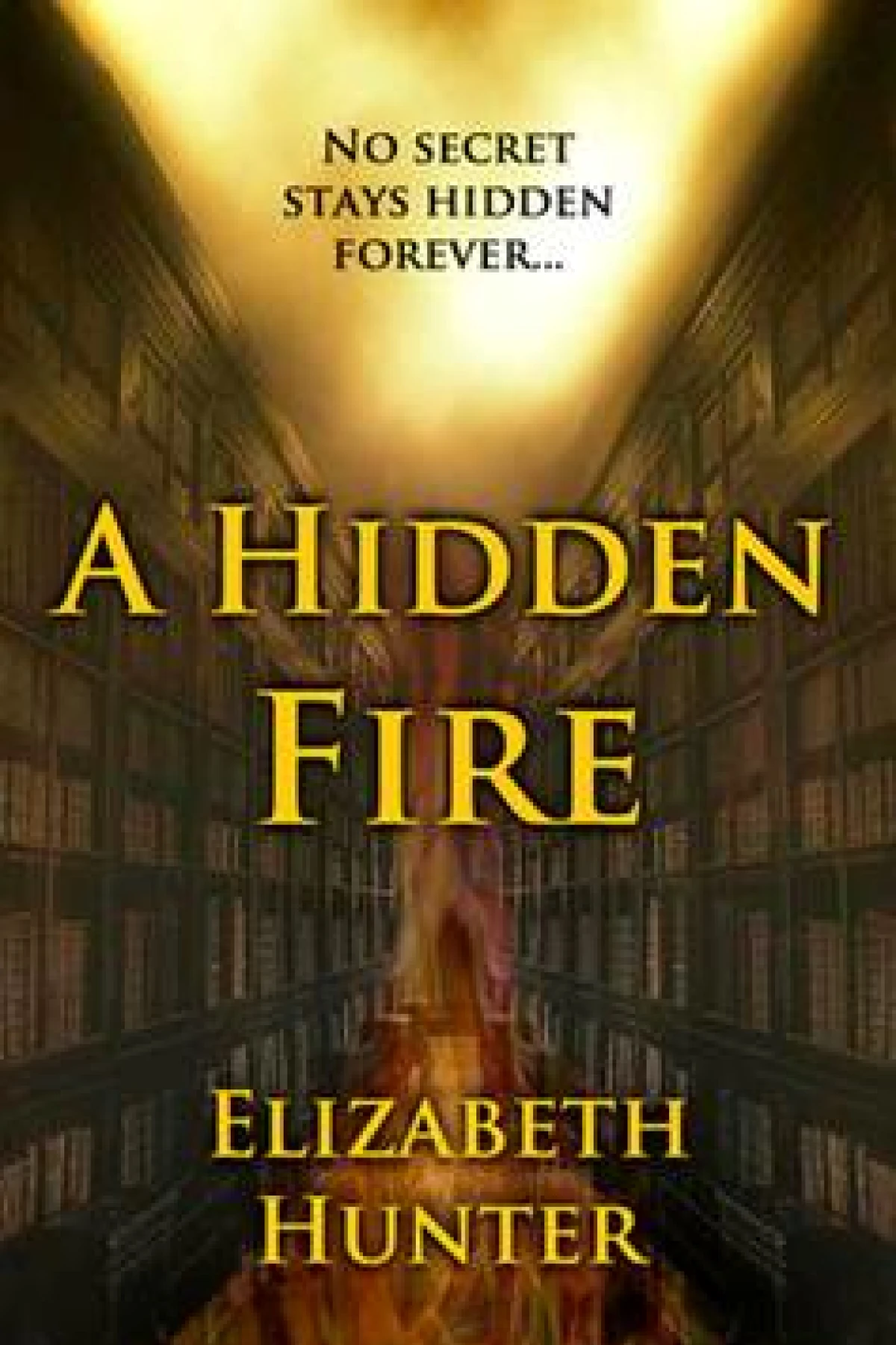 A Hidden Fire  Hunter Elizabeth