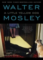 A Little Yellow Dog