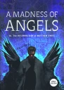 A Madness of Angels