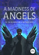 A Madness of Angels