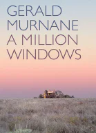 A Million Windows