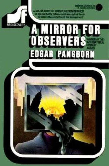 A Mirror for Observers