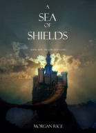 A Sea of Shields