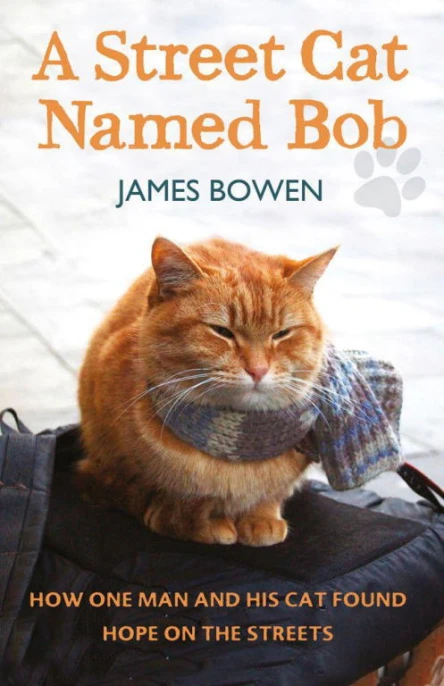 A Street Cat Named Bob How One Man and His Cat Found Hope on the Streets