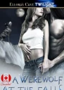 A Werewolf at the Falls
