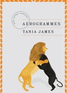 Aerogrammes and Other Stories