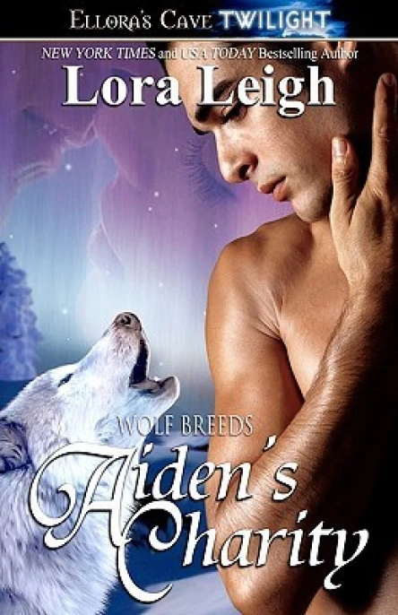 Aidens Charity