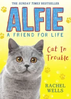 Alfie Cat In Trouble
