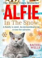 Alfie in the Snow