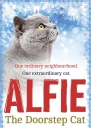 Alfie the Doorstep Cat