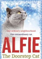 Alfie the Doorstep Cat