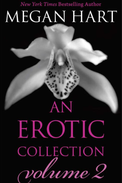 An Erotic Collection Volume 2