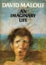 An Imaginary Life
