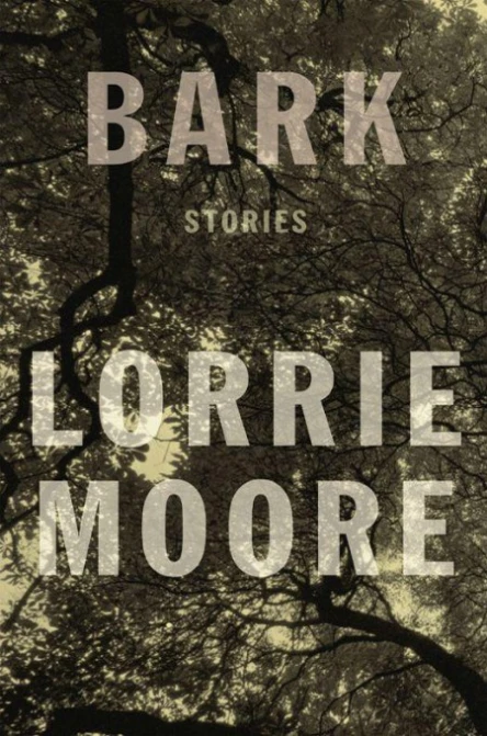 Bark Stories