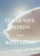 Battleborn Stories