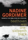 Beethoven Was OneSixteenth Black