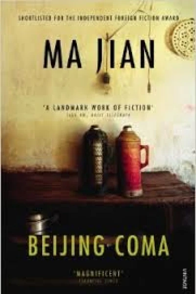 Beijing Coma