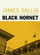 Black Hornet