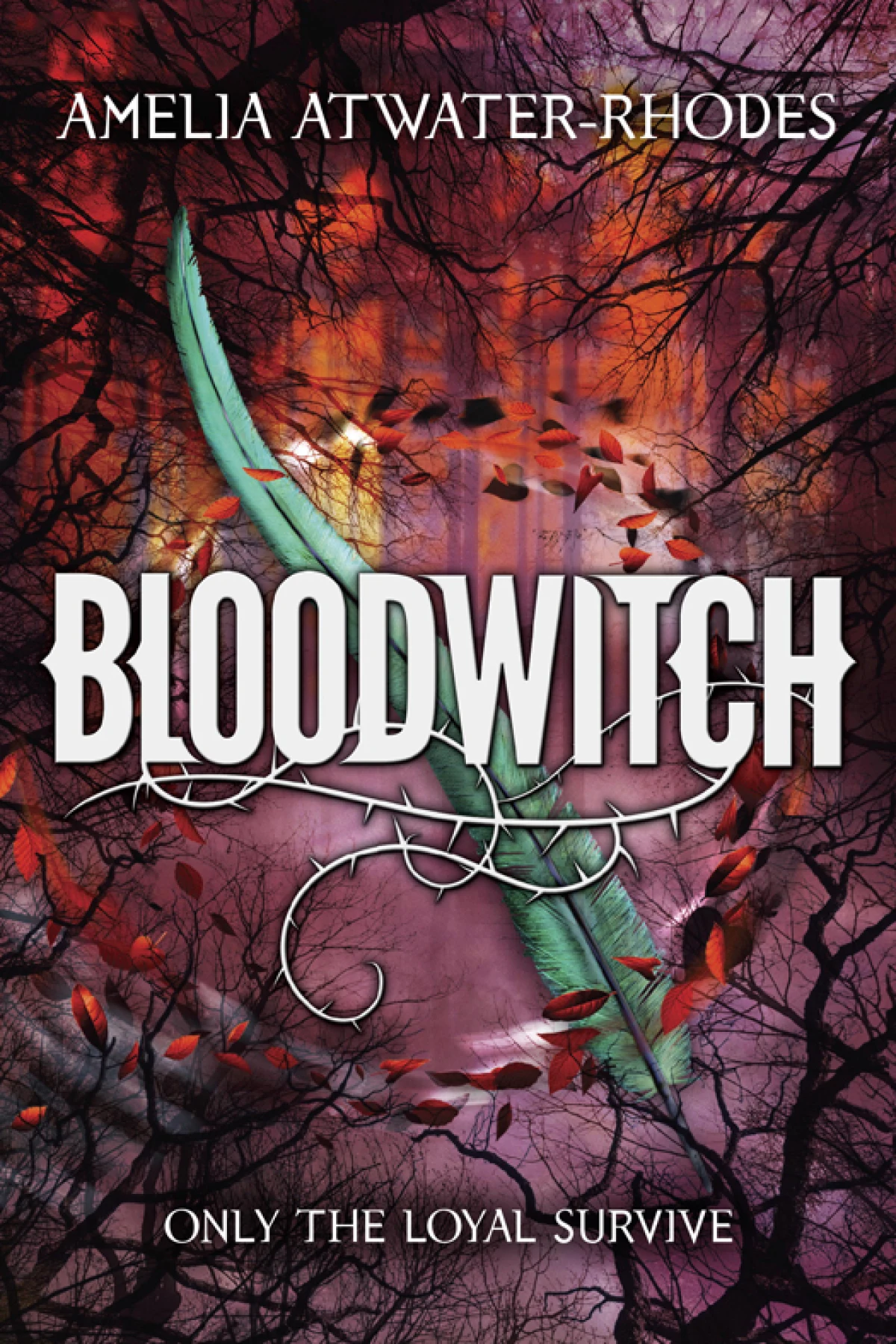 Bloodwitch  AtwaterRhodes Amelia