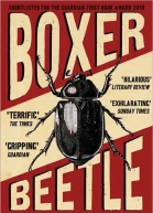 Boxer Beetle