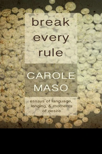 Break Every Rule Essays on Language Longing  Moments of Desire