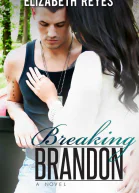 Breaking Brandon