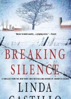 Breaking Silence