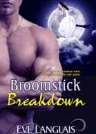 Broomstick Breakdown