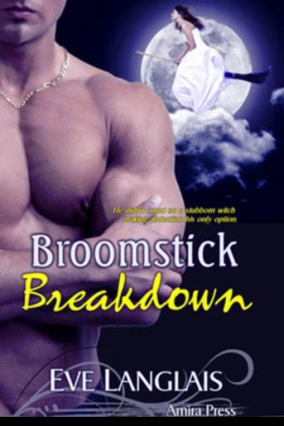 Broomstick Breakdown