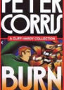 Burn and Other Stories