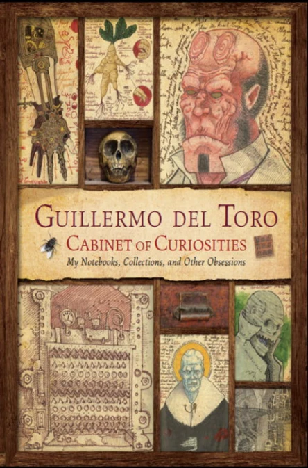 Cabinet of Curiosities My Notebooks Collections and Other Obsessions