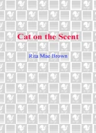 Cat on the Scent