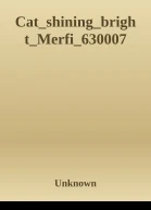 CatshiningbrightMerfi630007