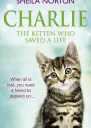 Charlie the Kitten Who Saved a Life