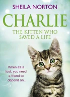 Charlie the Kitten Who Saved a Life