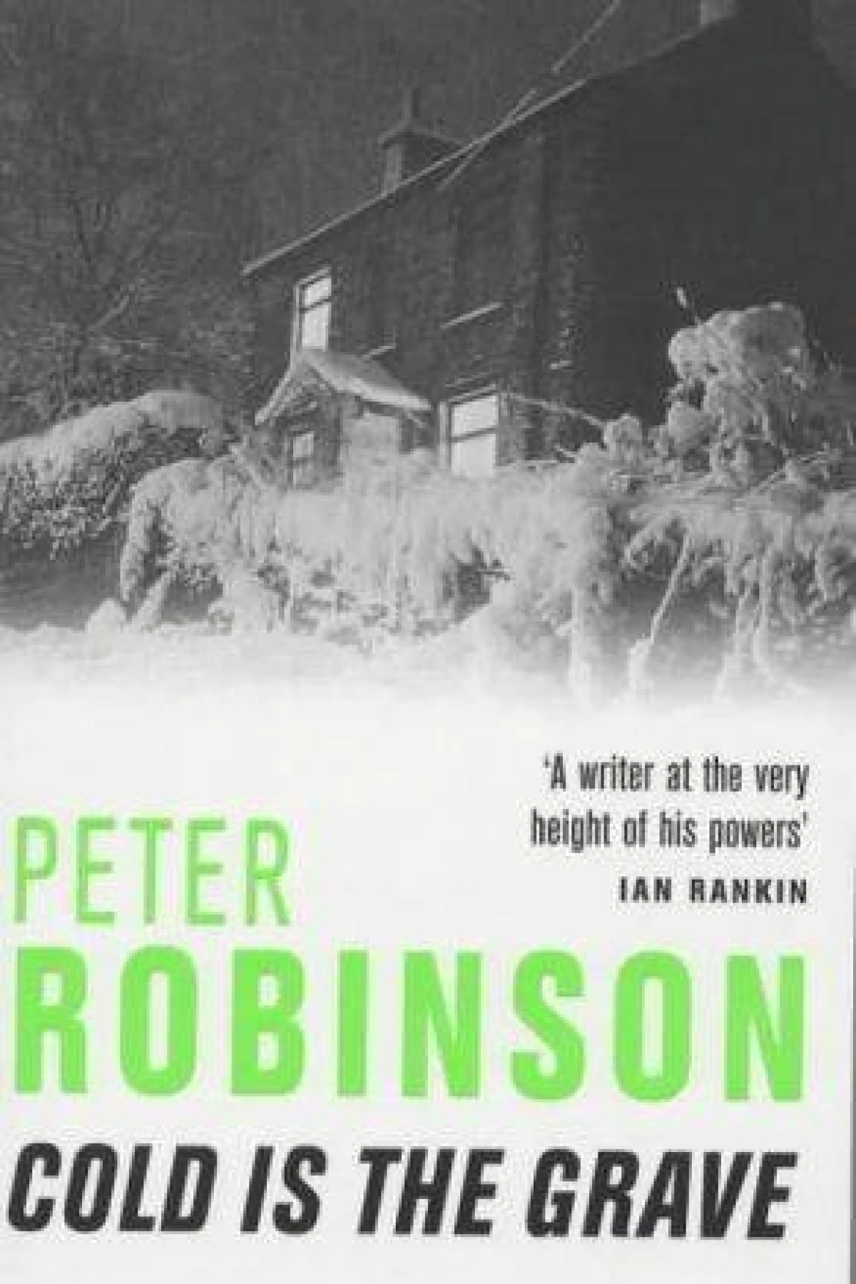 Cold Is The Grave  Robinson Peter