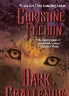 Dark Challenge Dark Series  book 5