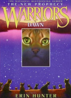 Dawn