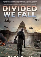 Divided We Fall