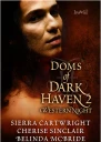 Doms of Dark Haven 2 Western Night