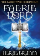 Faerie Lord