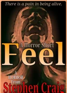 Feel