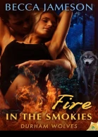 Fire in the Smokies