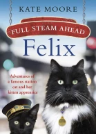 Full Steam Ahead Felix