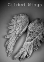Gilded Wings